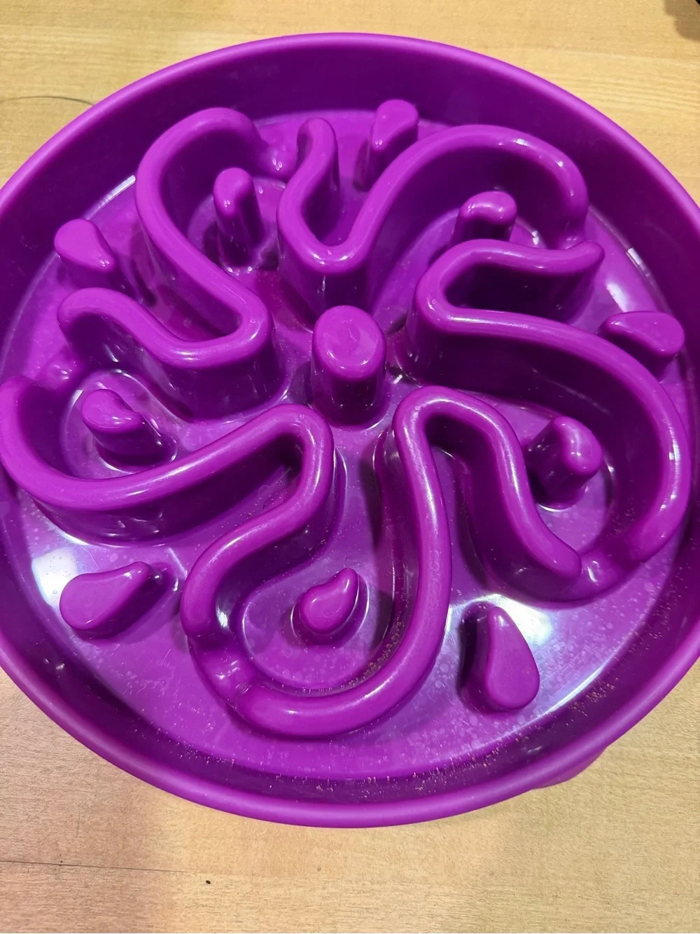 Purple Slow Feeder Dog Food Bowl